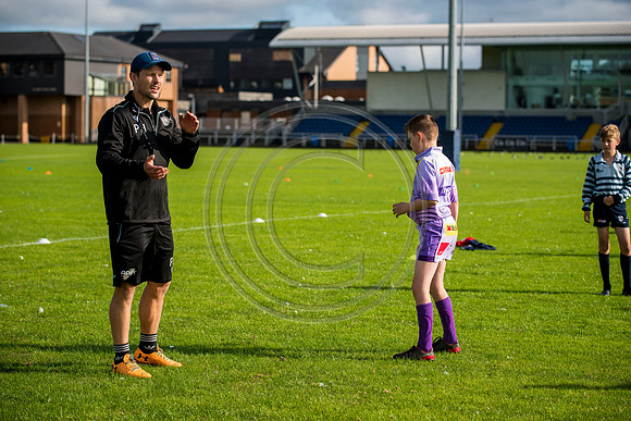 Apex Rugby Academy
