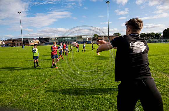 Apex Rugby Academy