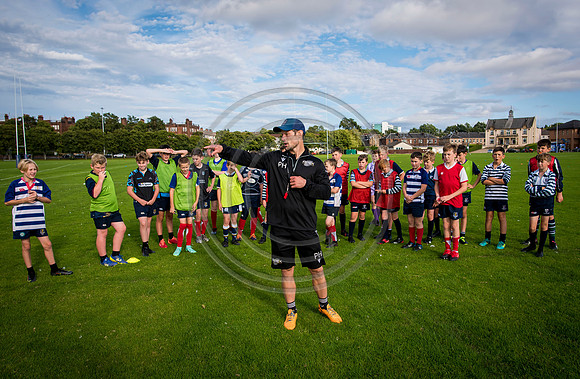 Apex Rugby Academy