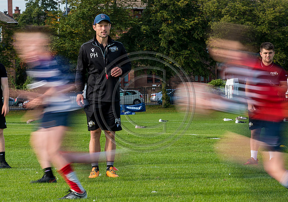 Apex Rugby Academy