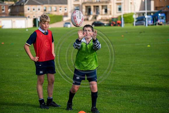 Apex Rugby Academy