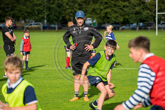 Apex Rugby Academy