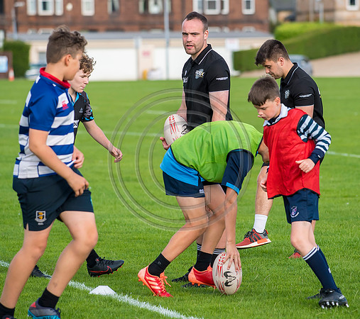 Apex Rugby Academy