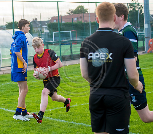 Apex Rugby Academy