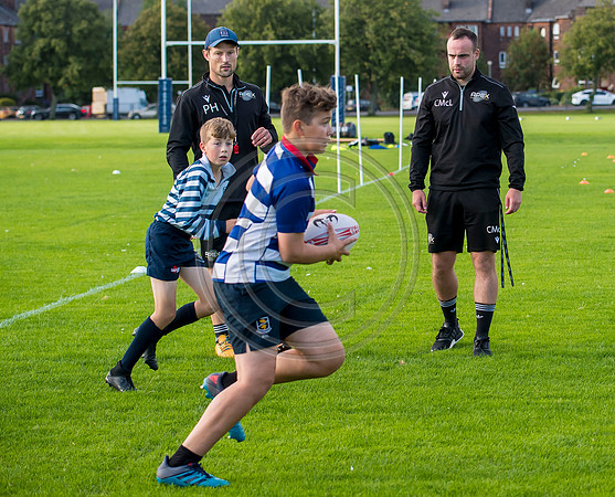 Apex Rugby Academy