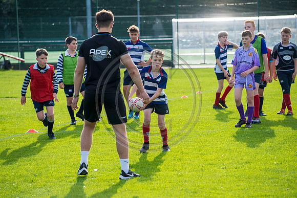 Apex Rugby Academy