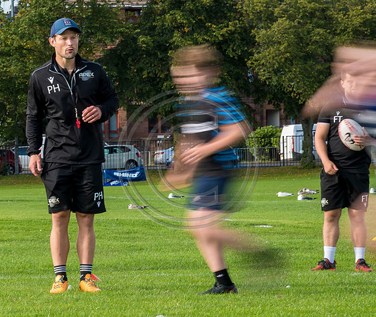 Apex Rugby Academy