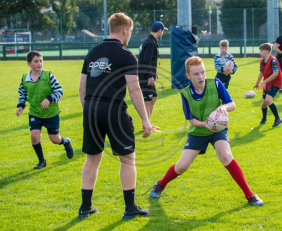 Apex Rugby Academy