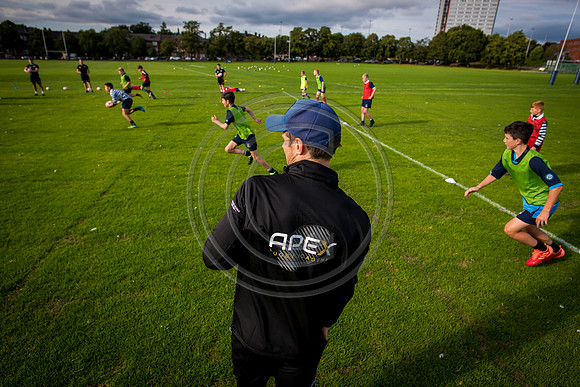 Apex Rugby Academy