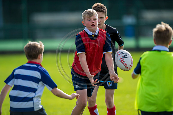 Apex Rugby Academy