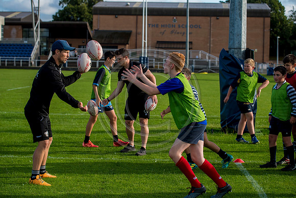 Apex Rugby Academy