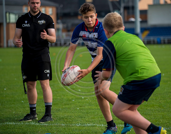 Apex Rugby Academy