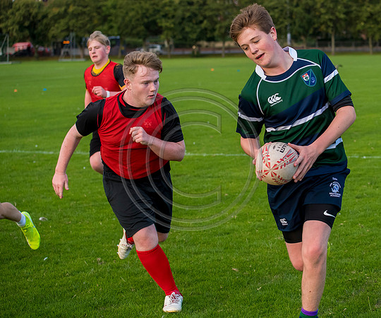 Apex Rugby Academy