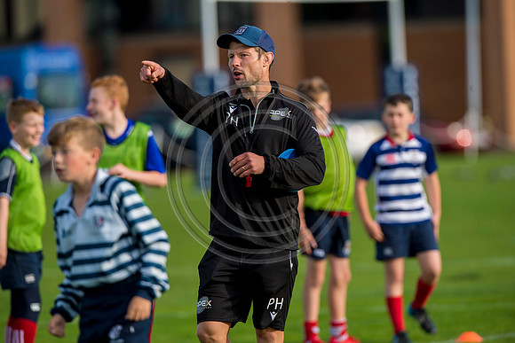 Apex Rugby Academy