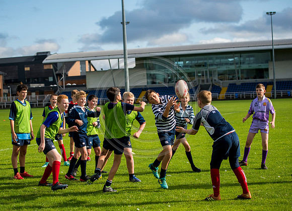 Apex Rugby Academy