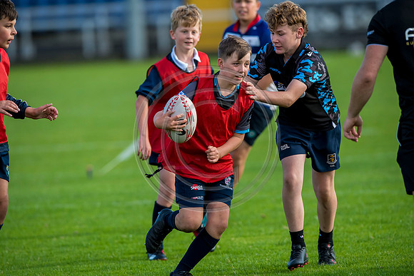 Apex Rugby Academy
