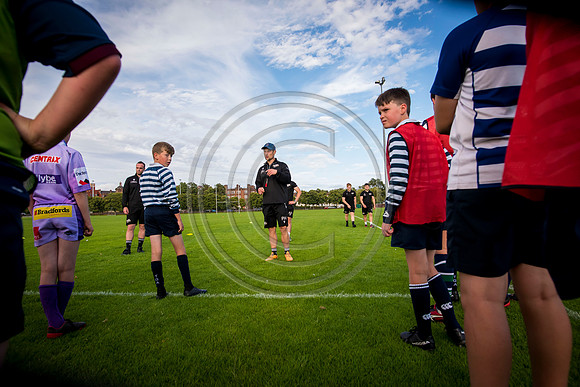 Apex Rugby Academy