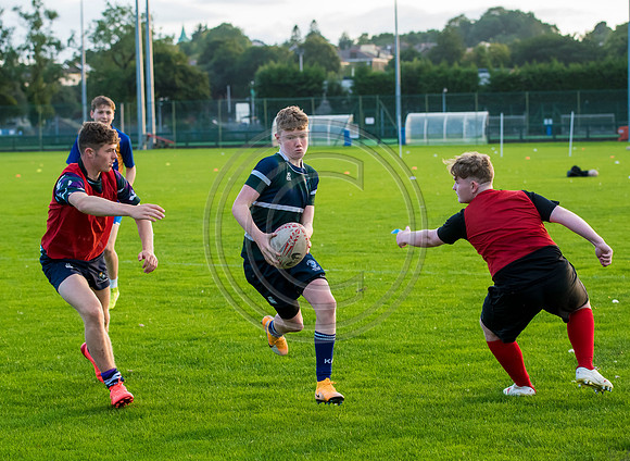 Apex Rugby Academy