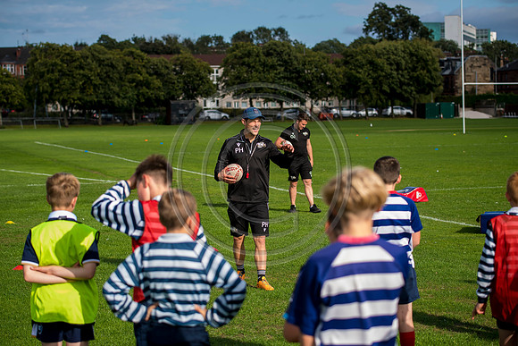 Apex Rugby Academy