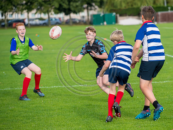 Apex Rugby Academy