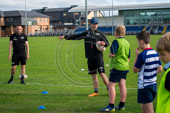 Apex Rugby Academy
