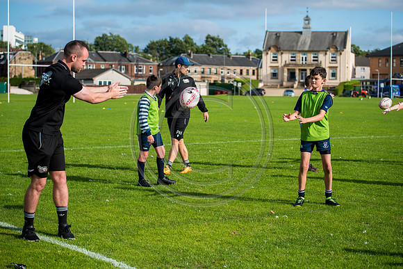 Apex Rugby Academy