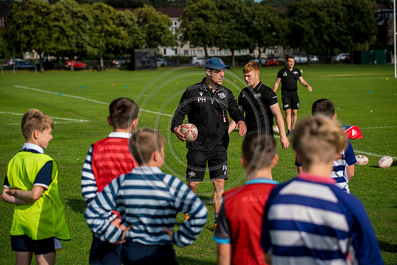 Apex Rugby Academy