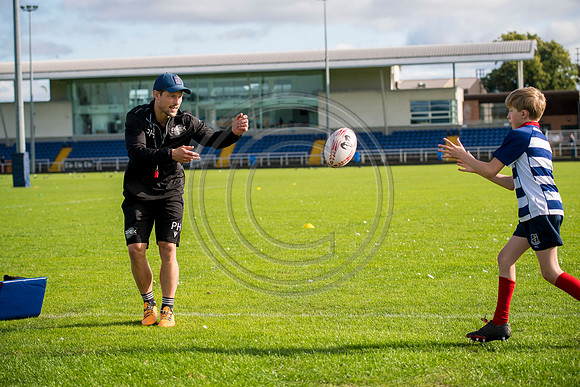 Apex Rugby Academy