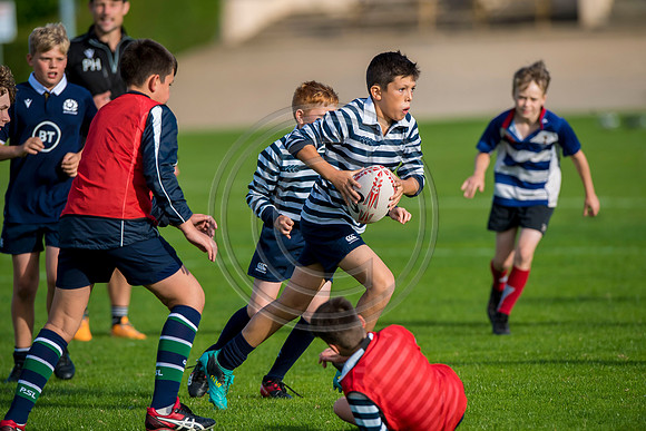 Apex Rugby Academy