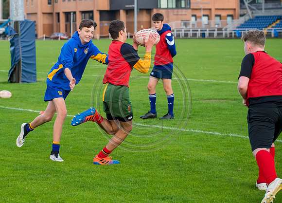 Apex Rugby Academy