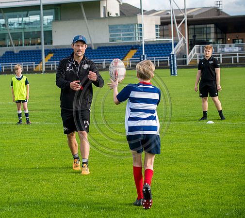 Apex Rugby Academy