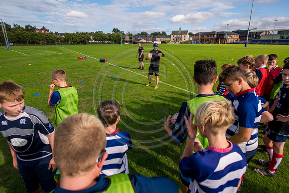 Apex Rugby Academy