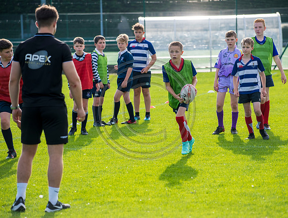 Apex Rugby Academy