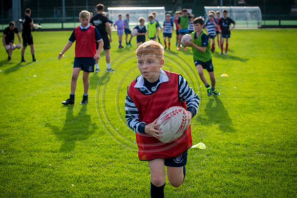 Apex Rugby Academy