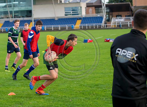 Apex Rugby Academy