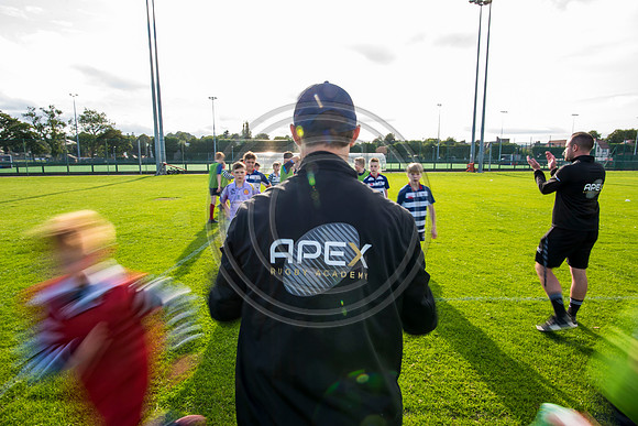 Apex Rugby Academy