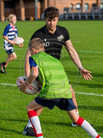 Apex Rugby Academy