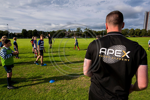 Apex Rugby Academy
