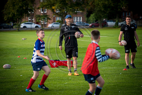 Apex Rugby Academy