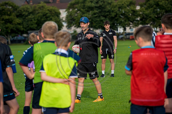 Apex Rugby Academy
