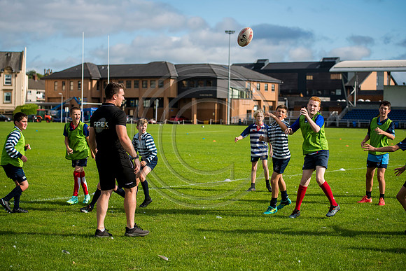 Apex Rugby Academy