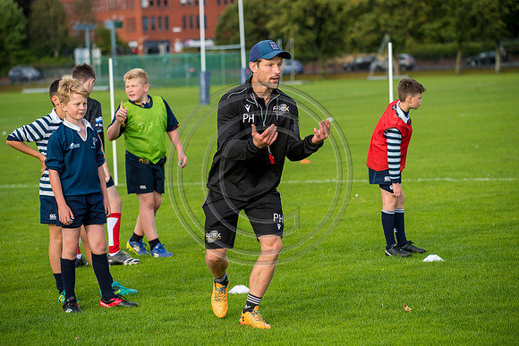 Apex Rugby Academy