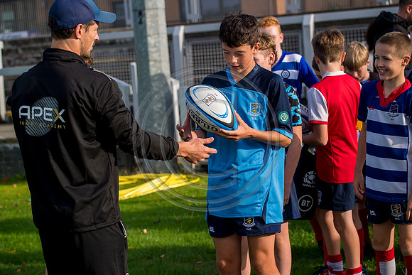 Apex Rugby Academy
