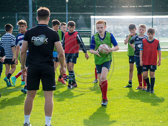 Apex Rugby Academy