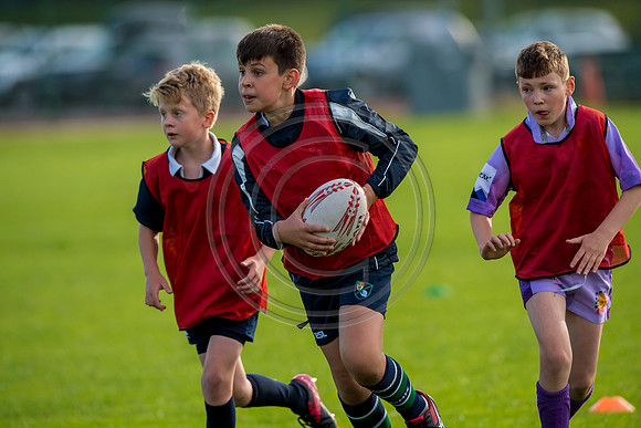 Apex Rugby Academy