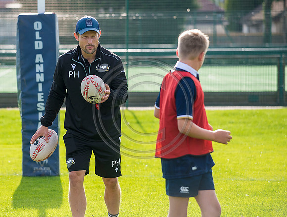 Apex Rugby Academy