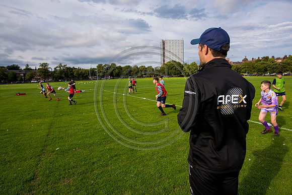 Apex Rugby Academy