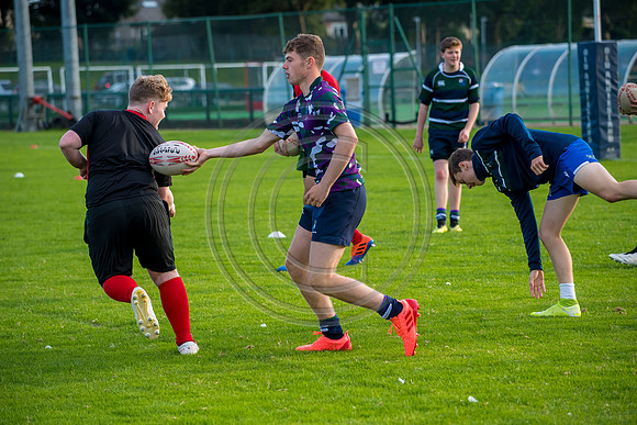 Apex Rugby Academy