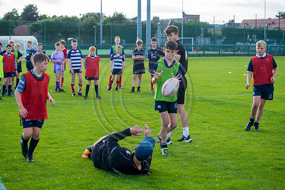 Apex Rugby Academy