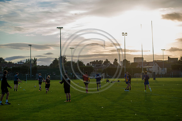 Apex Rugby Academy